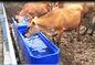 Réservoir d'eau en plastique de bétail de la preuve L13ft 260L de gel