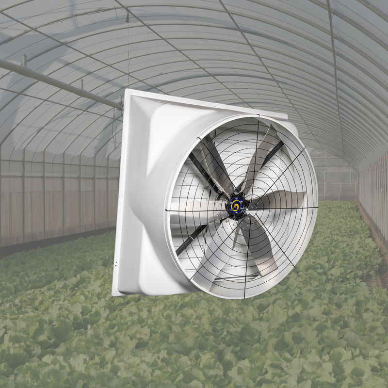 Puissant ventilateur de volaille 850w Puissance d'entrée Velocité de l'air vis au cadre sur le mur