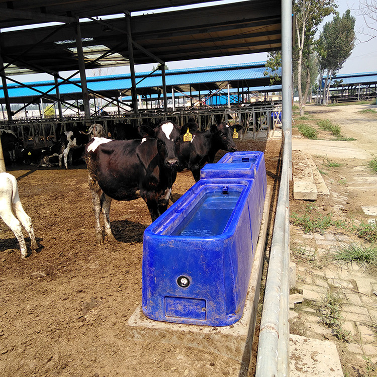 Cuvette animale de l'eau du réservoir d'eau de bétail des biens 4m 260L LLDPE
