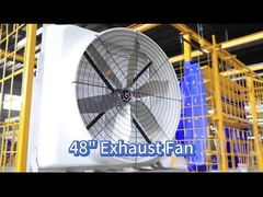 Améliorer la circulation de l'air avec un ventilateur de volaille de 121139 m3/h et un moteur PMSM