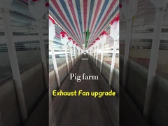 Ventilateur d'échappement industriel de volume 72 pouces Diamètre de lame IP55 Grade de protection