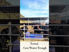 Bétail Waterer automatique