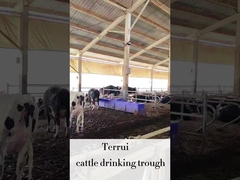 Équipé d'un système d'arrosage automatique pour le bétail LLDPE avec 3 ensembles de disques de chauffage 220V300W pour le bétail