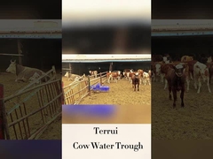 Arrosage automatique pour le bétail avec débit en LLDPE de 250 mm de hauteur de consommation