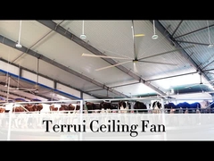 9.53 m3/min Flux d'air Ventilateur de plafond industriel 14300 m3/min Maximum de sortie