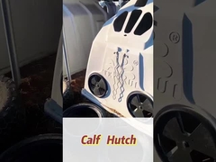 Couvertures de veaux de lait en polyéthylène blanc rectangulaire isolé