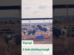 Capacité de 85 litres Réservoir d'eau pour bétail en polyéthylène lourd avec débit