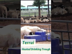 Résistant à la corrosion réservoir d'eau pour bétail en plastique bleu 85L