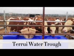 Réservoir d'arrosage bleu de 85L avec tuyau tressé 3/4