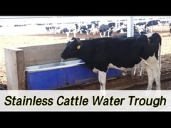 2 ensembles de chauffage réglable de 1800 W pour le bétail, arrosage automatique avec débit de 100 à 120 L/min