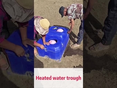 Rate de débit de 50 L/min. Arrosage automatique pour le bétail