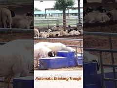 Taux de débit 120 L/min Bottes à boire pour vache 150 L Capacité de production agricole