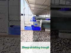 Capacité de 60 litres, bassin à eau pour vache 170*48*46 cm Idéal pour les grands troupeaux