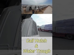 220*145*145cm Rectangulaire Calvaires laitiers pour améliorer la santé et le bien-être