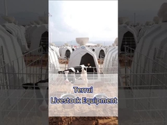 Les chameaux de veau en polyéthylène blanc sont un équipement essentiel pour les fermes laitières