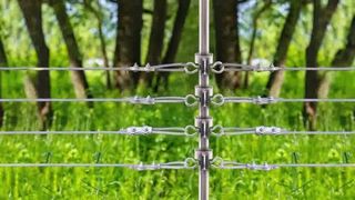 Sécurisez votre bétail : comment installer des isolateurs en T sur une clôture électrique