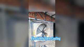 Ventilation à haute vitesse : les ventilateurs d'extraction industriels Terrui en action