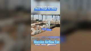 Abreuvoir chauffé pour bétail de 1,7 m, fabriqué dans un boîtier en plastique durable pour résister à des conditions de froid extrême